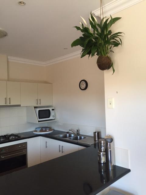 Salt Air On Lochard Place Apartment Warrnambool Exterior foto